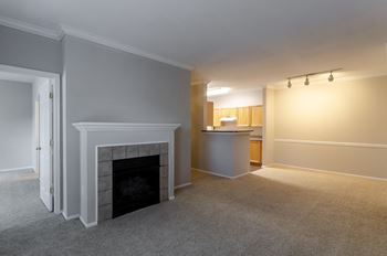 Fireplace*